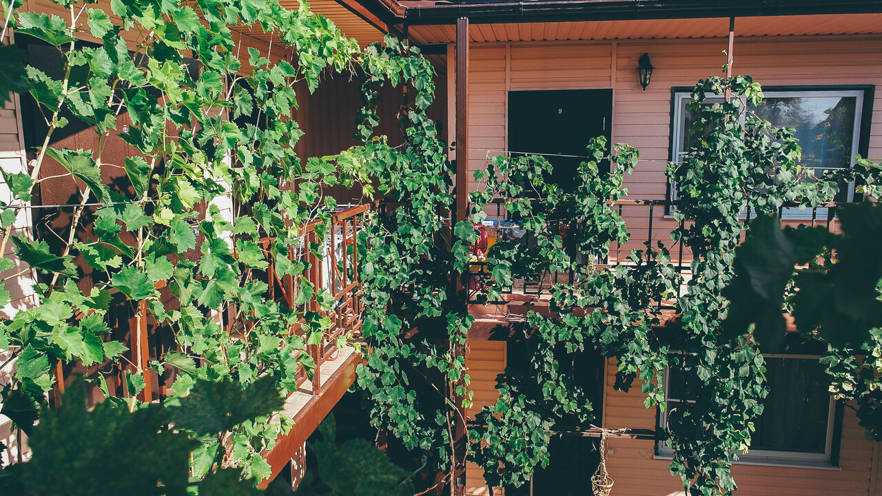 Гостиница Гостевой дом на Ростовской 9 Ейск-10