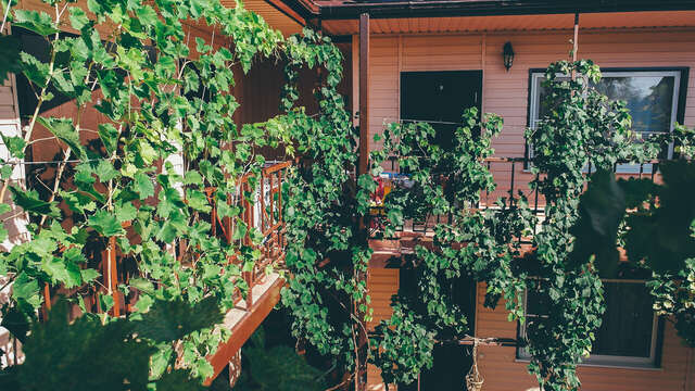 Гостиница Гостевой дом на Ростовской 9 Ейск-9